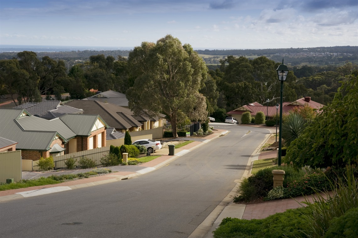 Suburban street