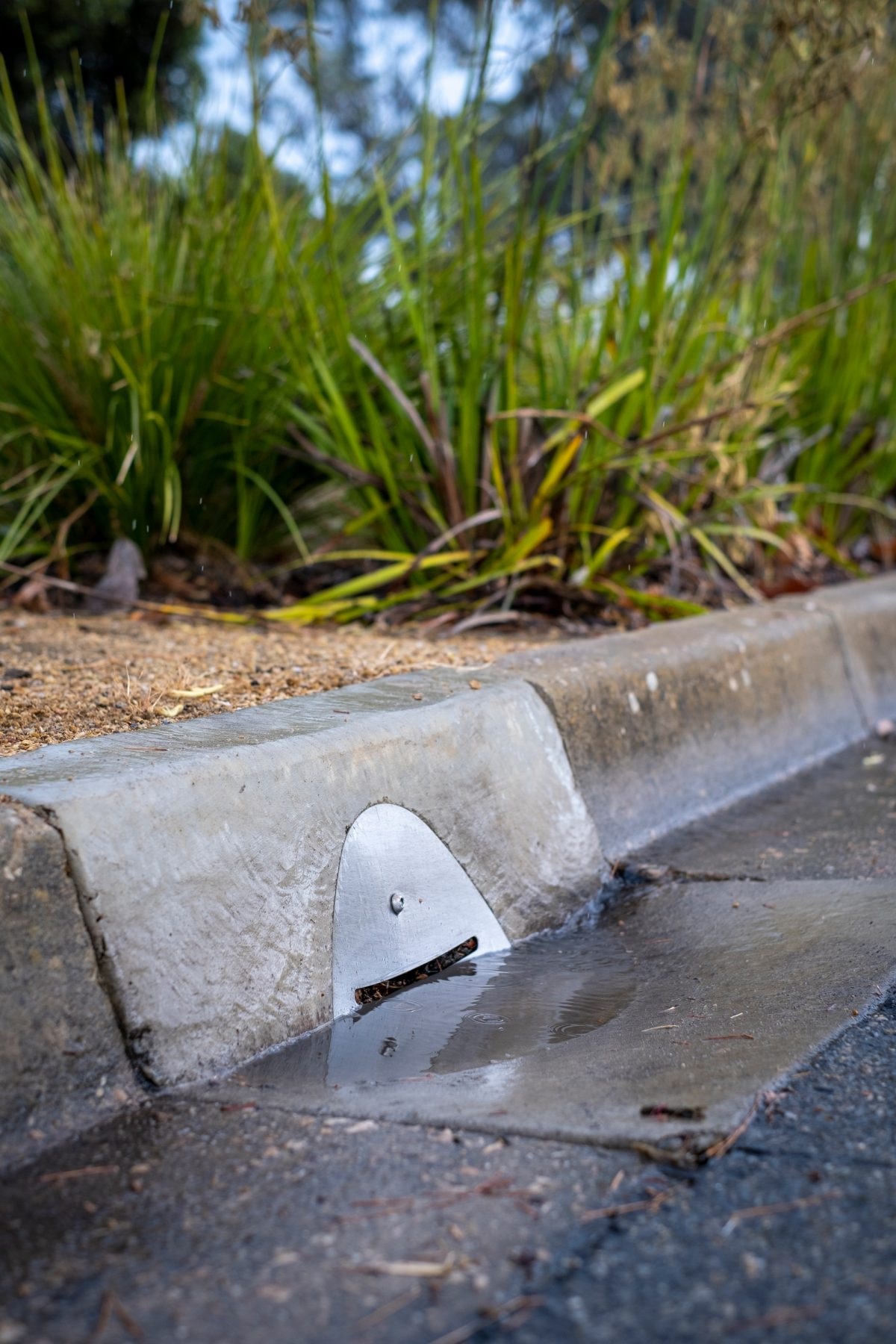 Sections of our urban landscape are flourishing after the installation of a stormwater reuse system for tree irrigation.