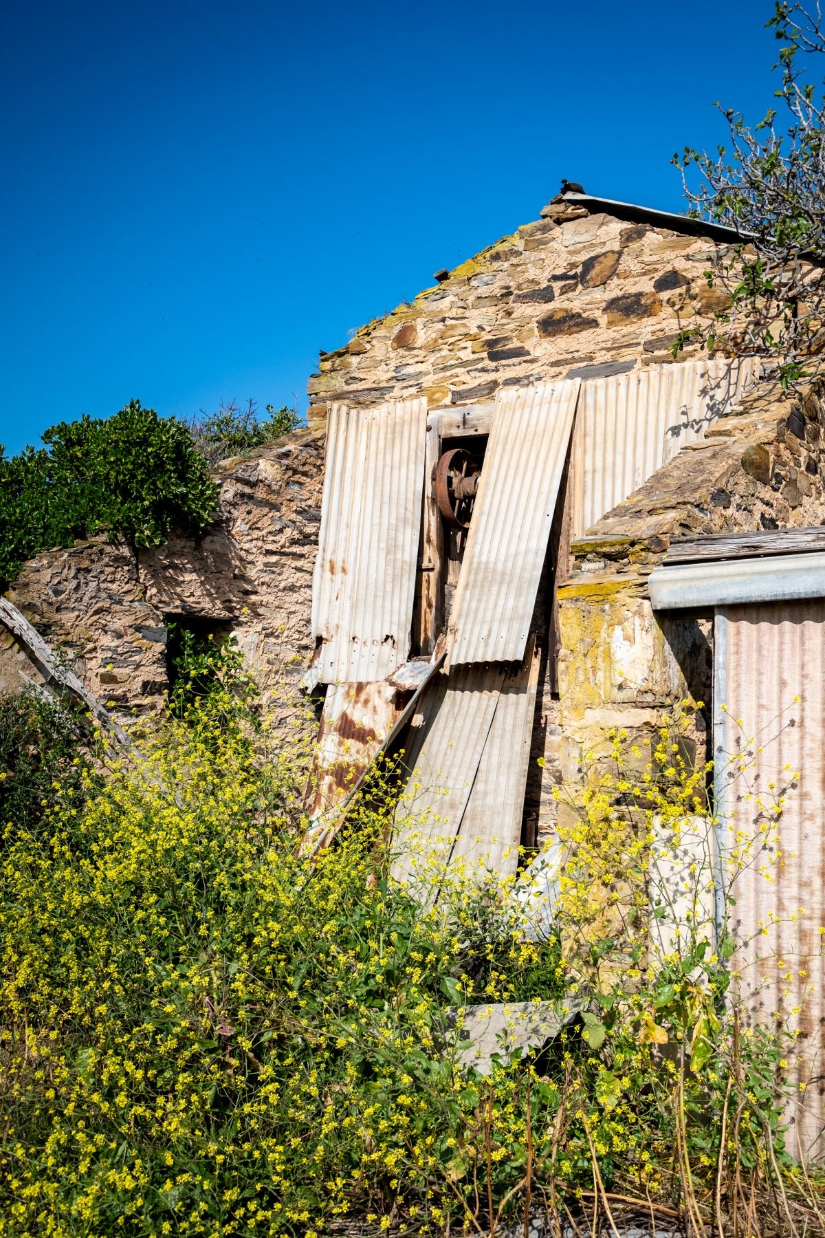 White’s Flour Mill