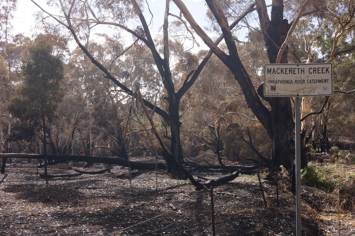 Cherry Gardens fire