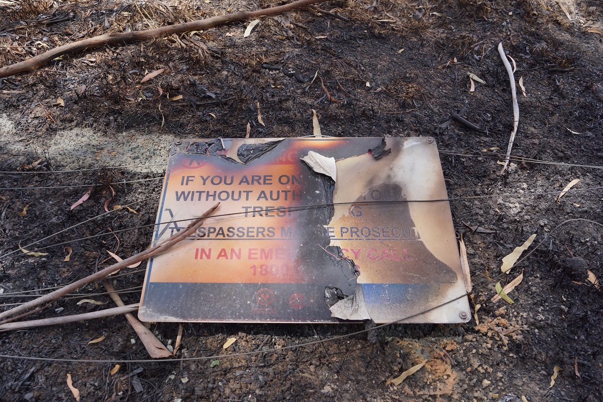 Cherry Gardens fire