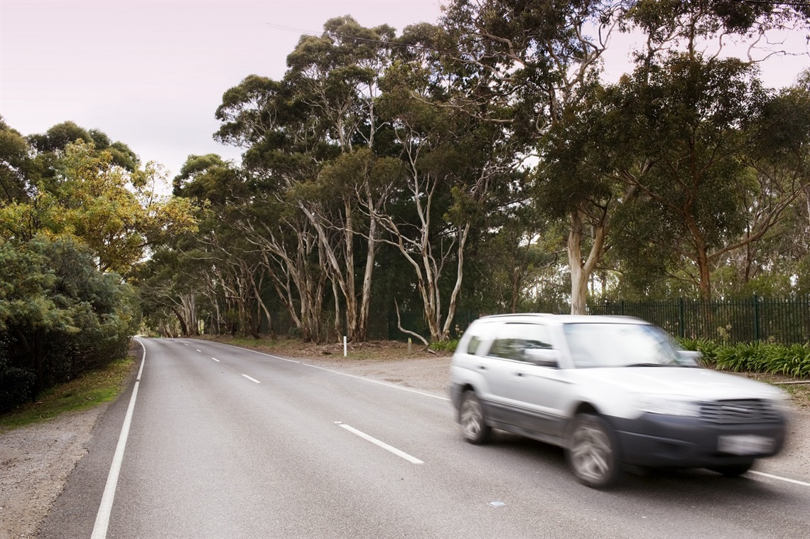 A car travels down a Cherry Gardens road.