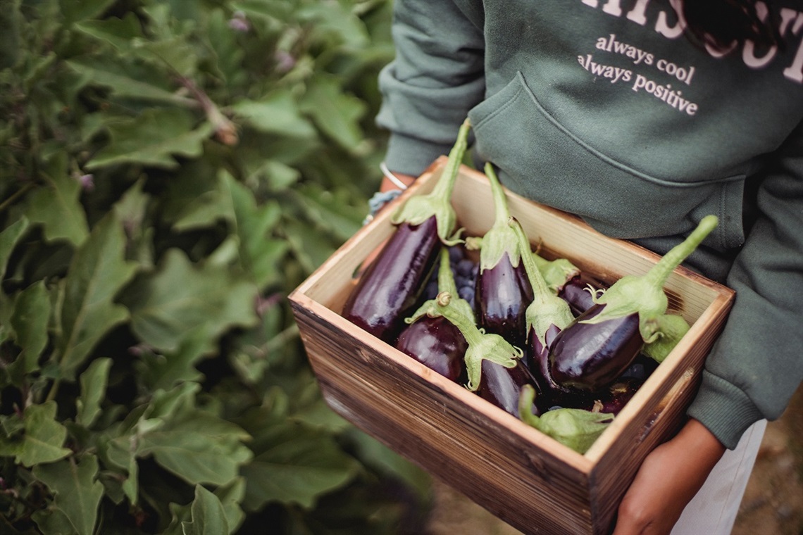 Community Food Expo