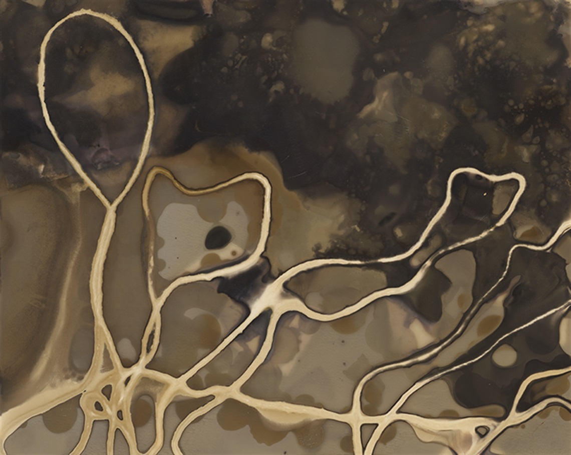 Untitled, 2020, archival pigment print, 25 x 20 cm. Image courtesy Gilbert Roe.