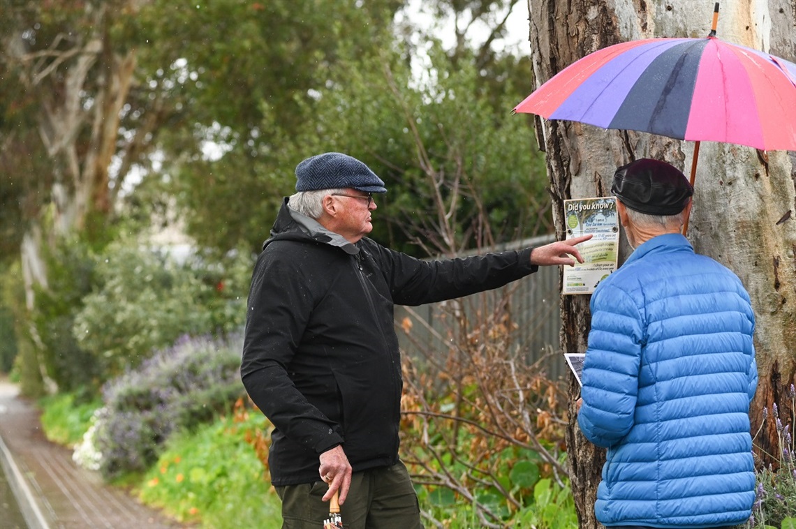 Images from the McLaren Vale Cellar Door Tree Trail and Willunga Tree Trail.