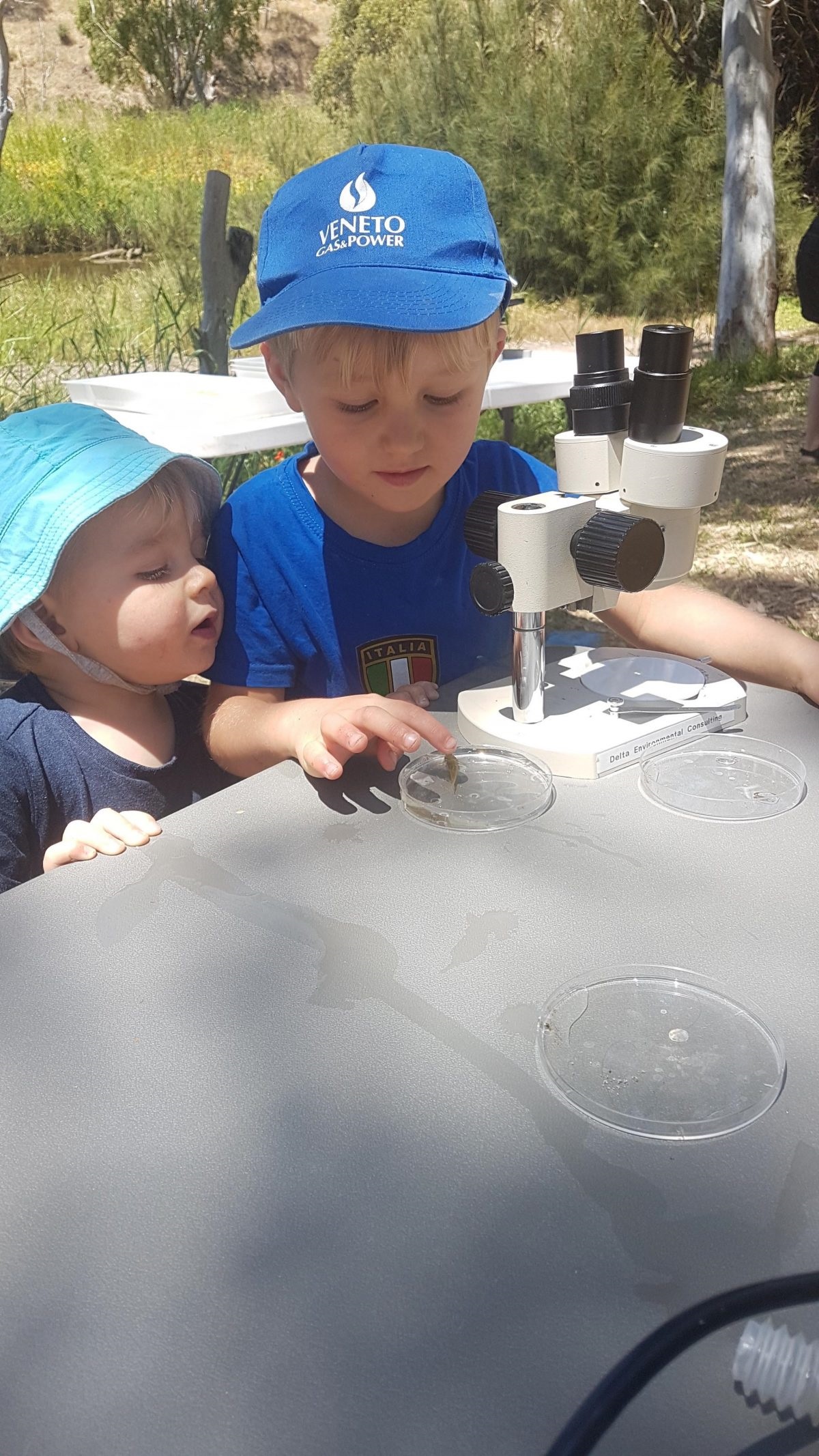 Kids checking out waterbugs under the microscope