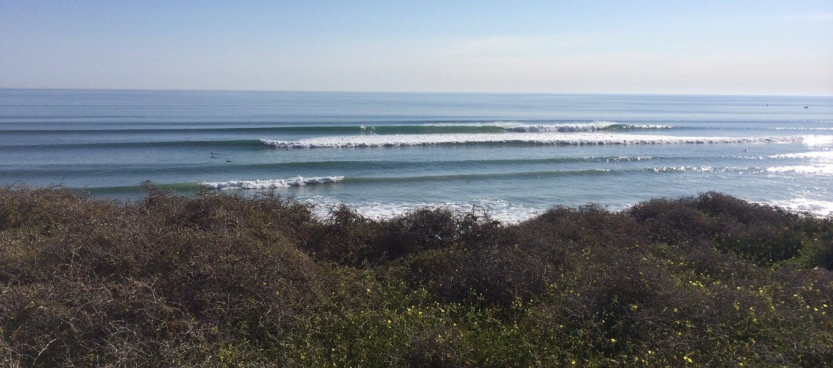 Signage and surf along the magic Mid Coast. Photos: Mid Coast Surfing Reserve