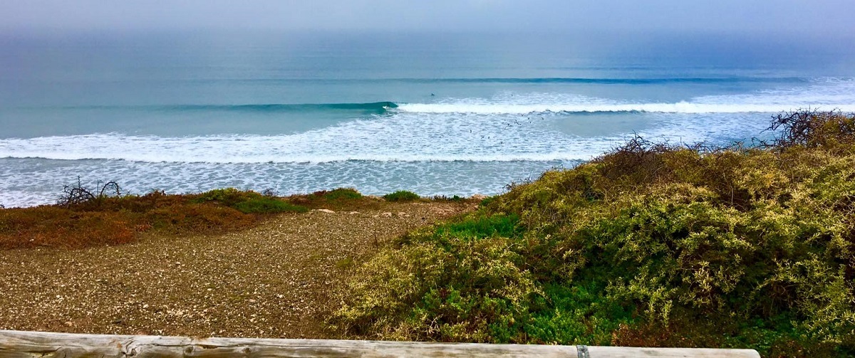 Signage and surf along the magic Mid Coast. Photos: Mid Coast Surfing Reserve