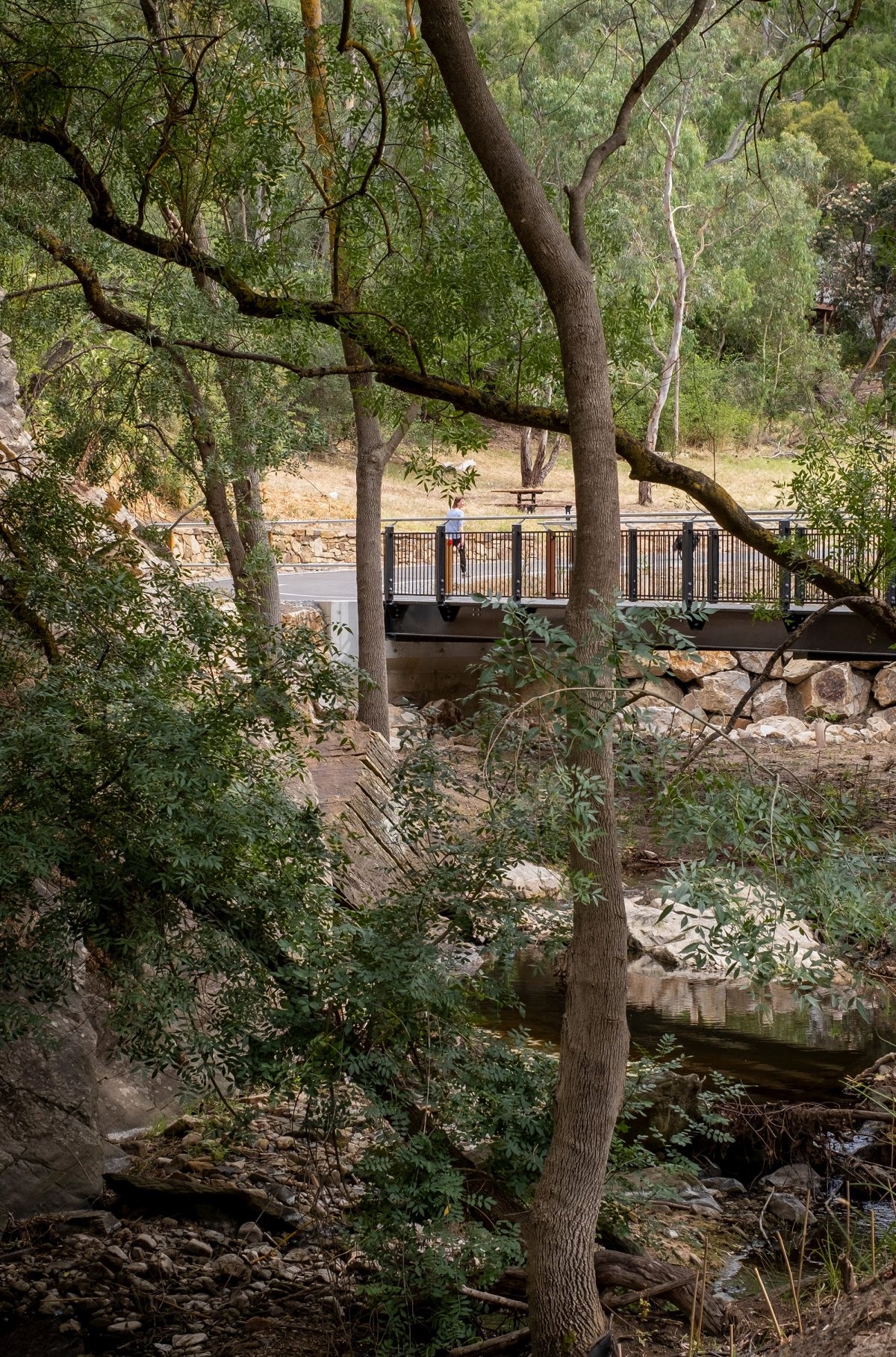 Sturt River Linear Trail, Coromandel Valley