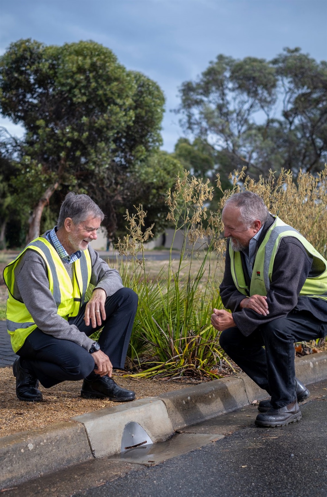 Sections of our urban landscape are flourishing after the installation of a stormwater reuse system for tree irrigation.