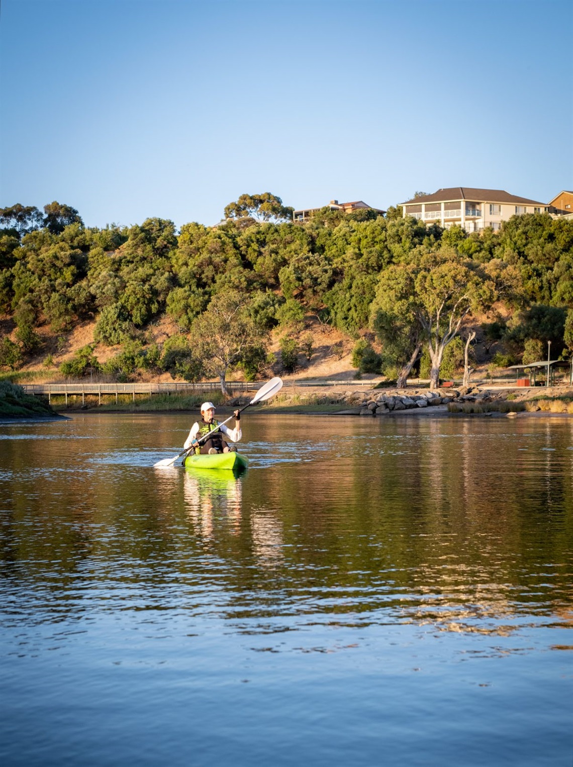 Wellness for Carers Program