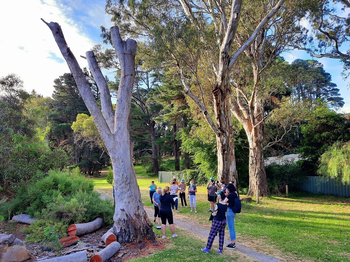 Community members gather in a reserve to learn about citizen science.