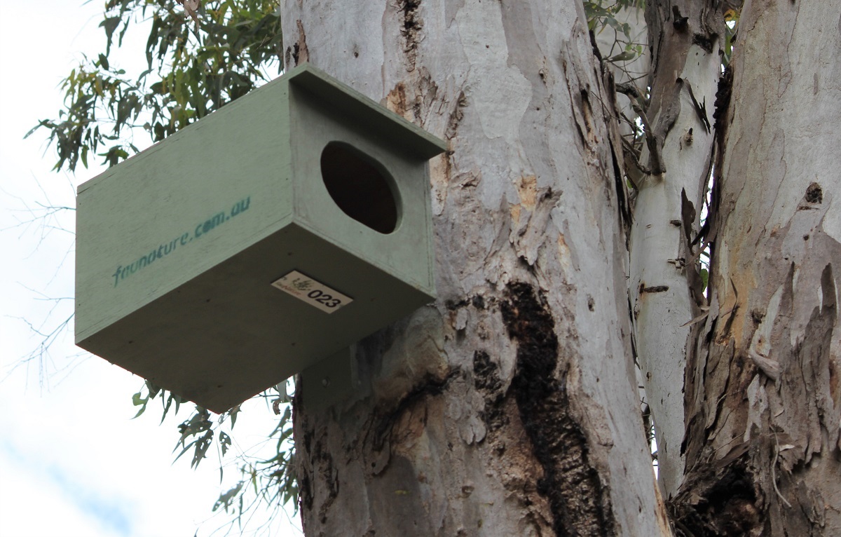 A green nesting box affixed to a tree.