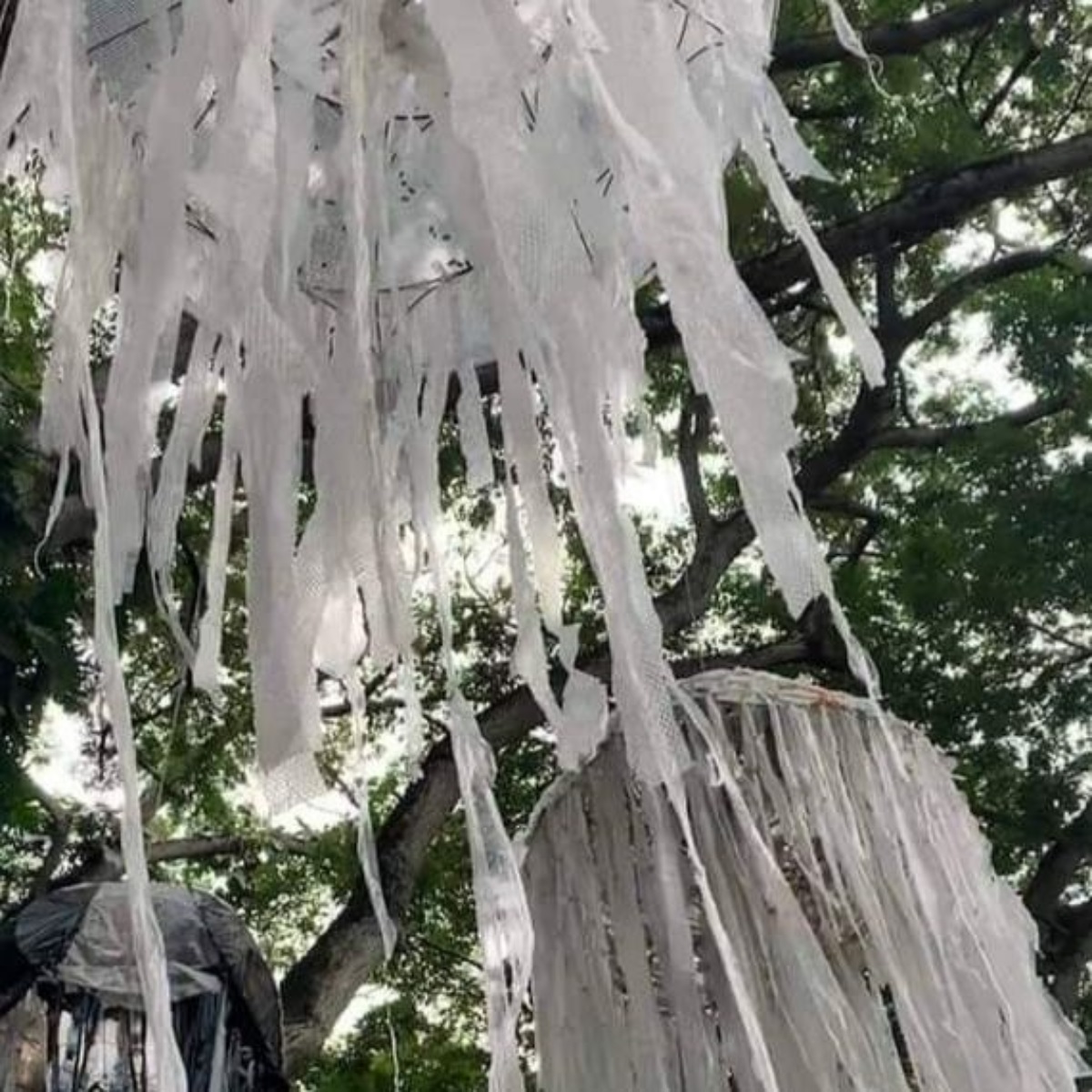 jellyfish-sculptures_1.jpg