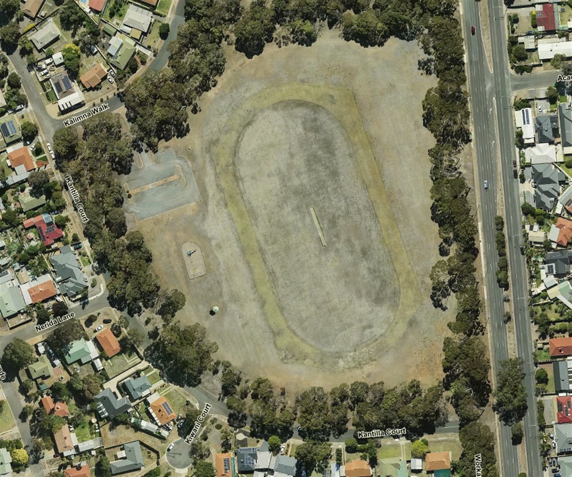 An aerial/satellite image of Knox Park and surrounding streets.
