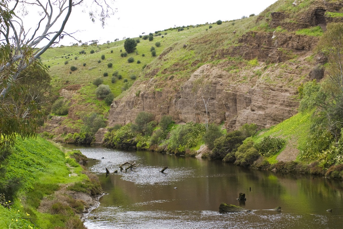 Rolling green hills lining the Onkaparinga River.