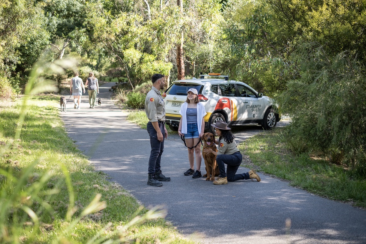 Council rangers Dylan and Thia talk with a dog owner on a leafy Coromandel Valley walking track with their community safety vehicle in the background.