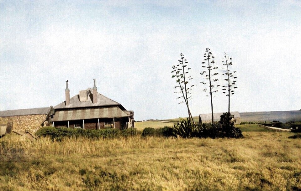 user_crop_Dalkeith_in_colour_resized.jpg
