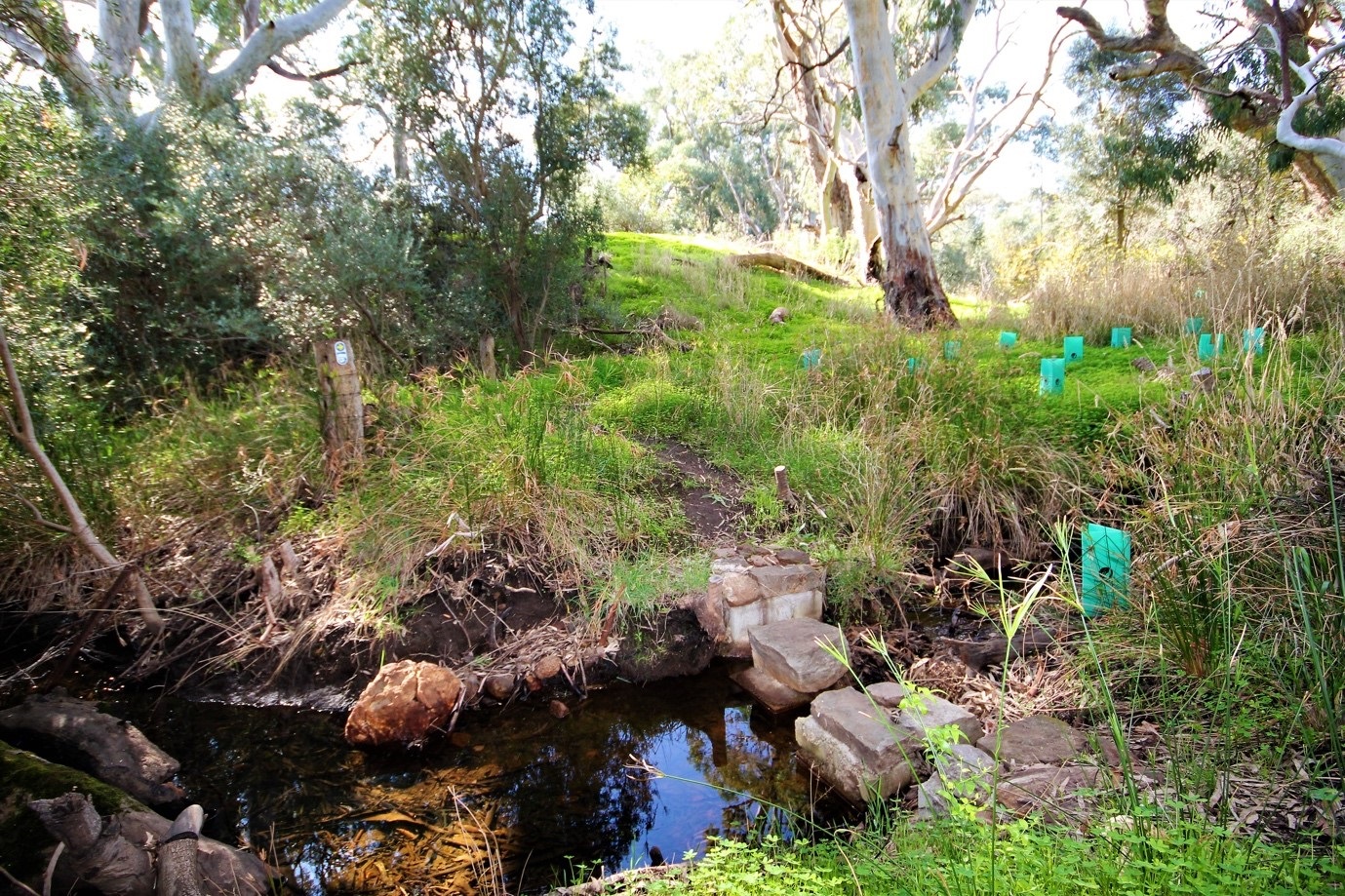 A rocky creek crossing along the trail surrounded by trees and green grass.