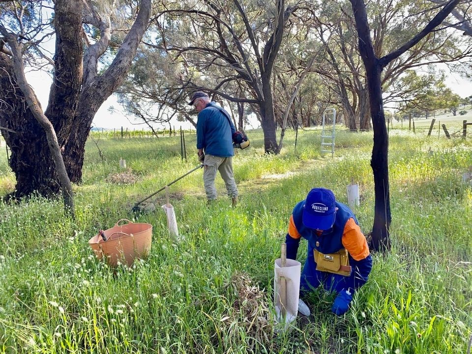 Volunteers doing maintenance along the track.