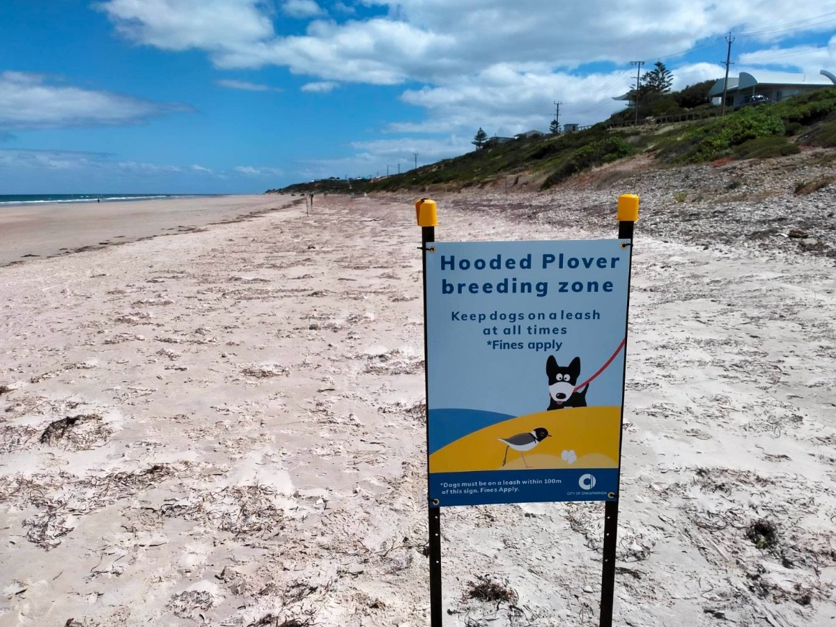 A Hooded Plover breeding zone sign up close.