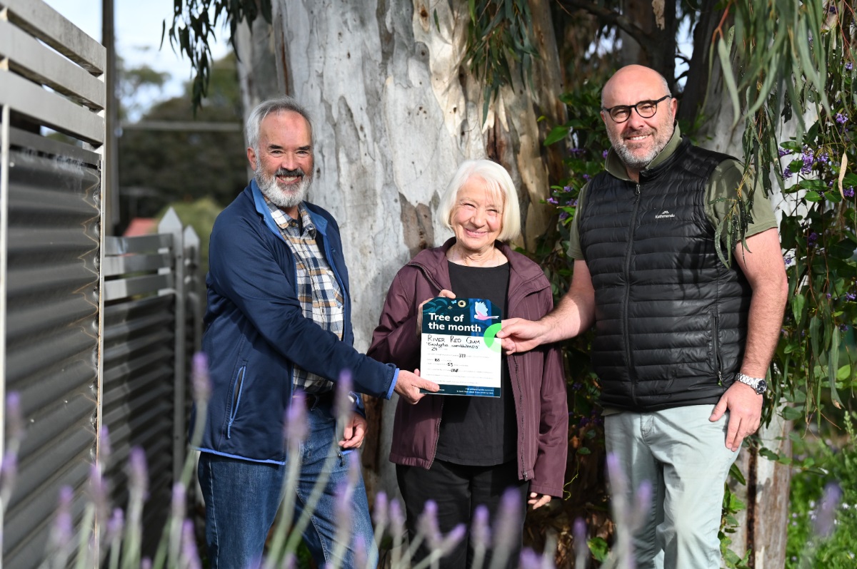 Ian Fox and Trish Hammond are presented with their Tree of the Month award in front of the tree.