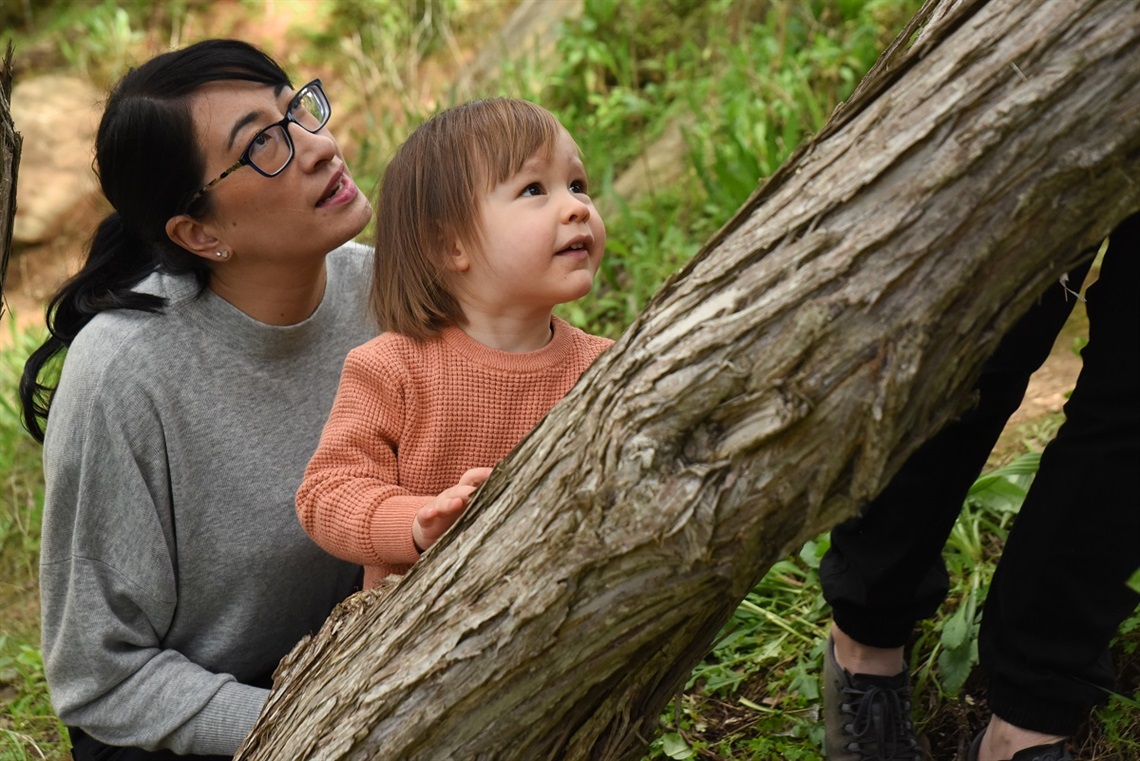 A woman with long black hair and a grey jumper wearing glasses looks up the trunk of a tree with a toddler wearing an orange jumper.