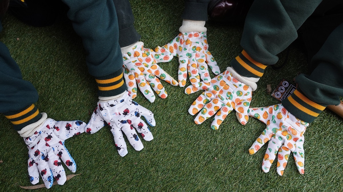 A close-up image of students' hands in colourful gardening gloves.