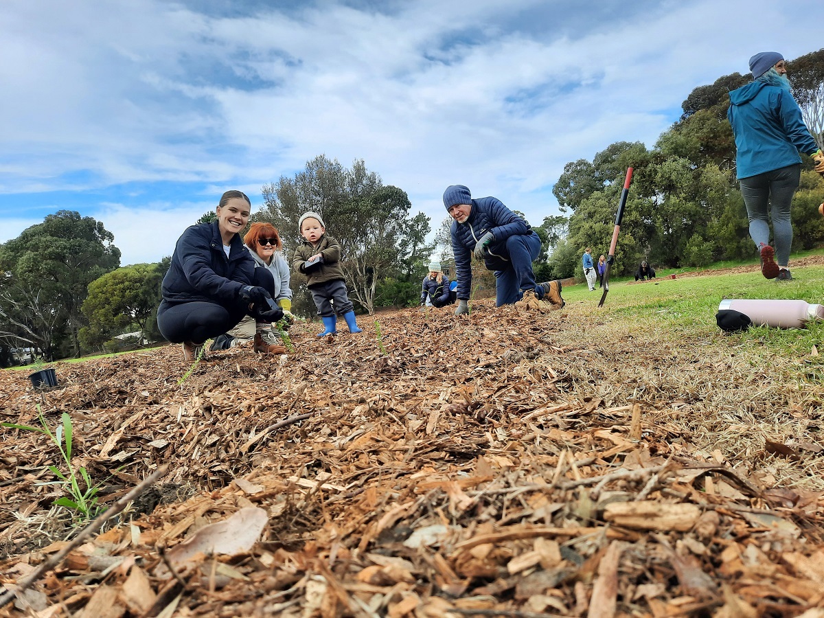 A photo of a group of adults and a toddler planting trees at a reserve.