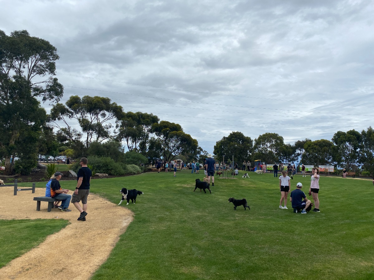 A grassy area of Woodcroft Dog Park.