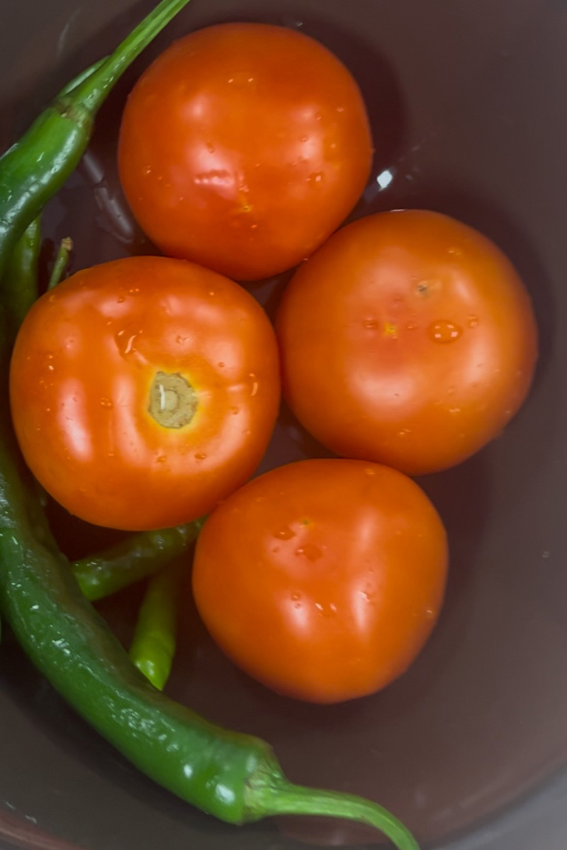 A bowl containing four red tomatoes and long green chillies.