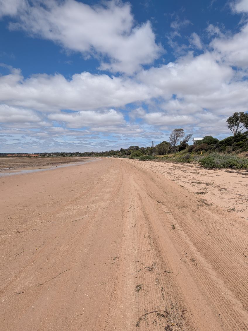 Councils pitch in to protect SA's coastline Onkaparinga Now