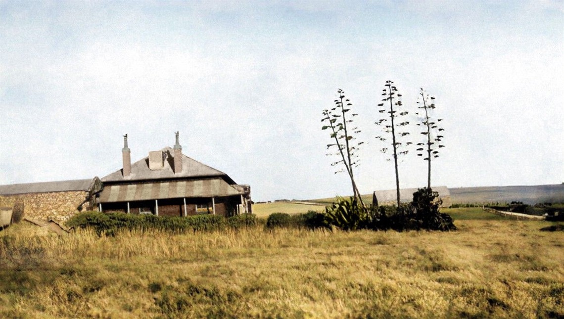 An old photo of Dalkeith - the former home of Andrew Harriott in Moana. Four skinny trees stand alongside the homestead, which is surrounded by yellow grass.