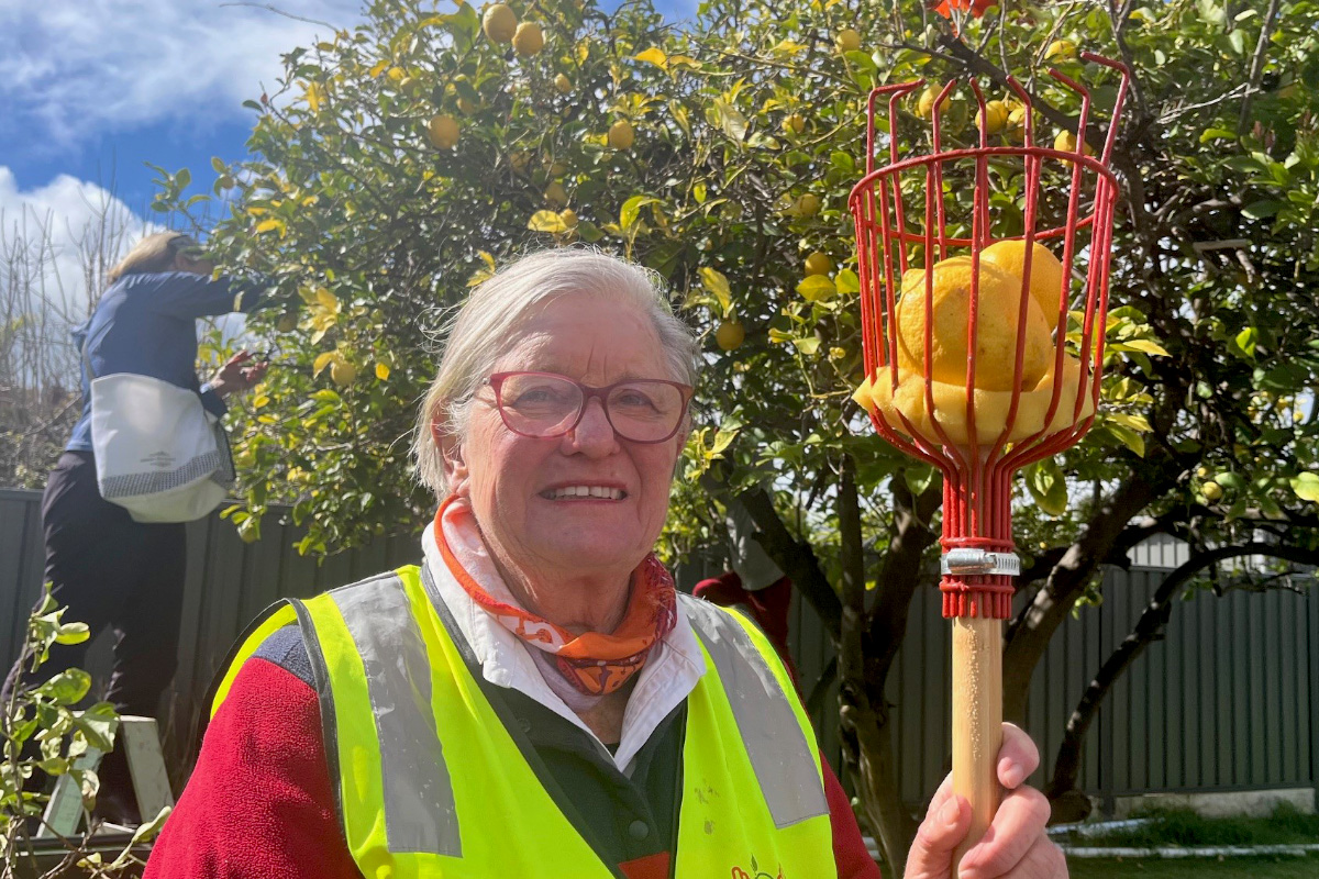 A woman in a high-vis vest smiles at the camera while holding a gardening tool that has several lemons in it.