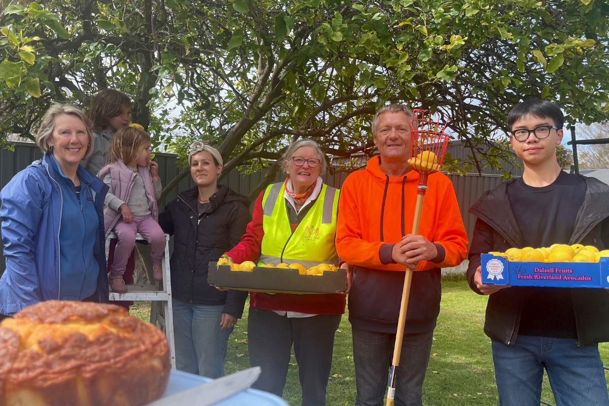 A group of smiling volunteers of all ages hold boxes of lemons beneath a lemon tree.