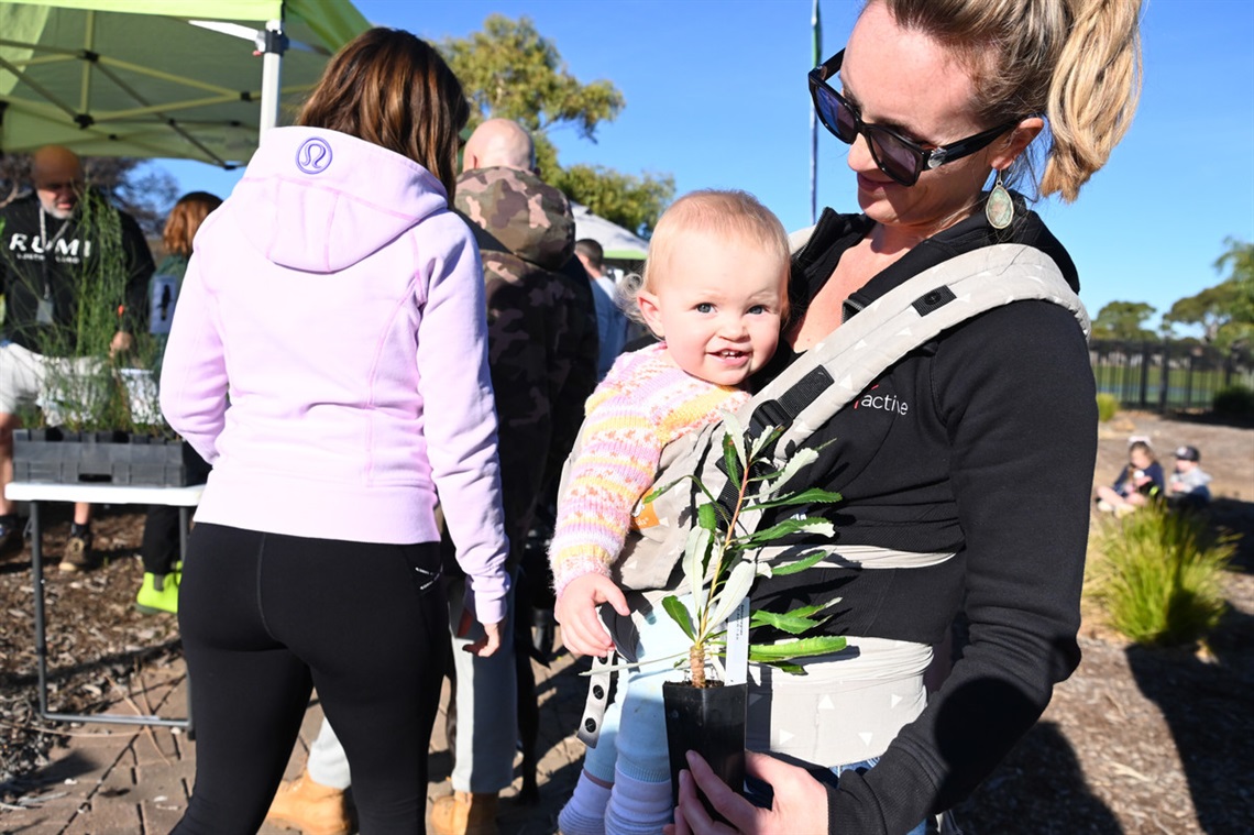 A baby, strapped to its mother's chest, smiles at the camera while the mother holds a free tree in a pot.