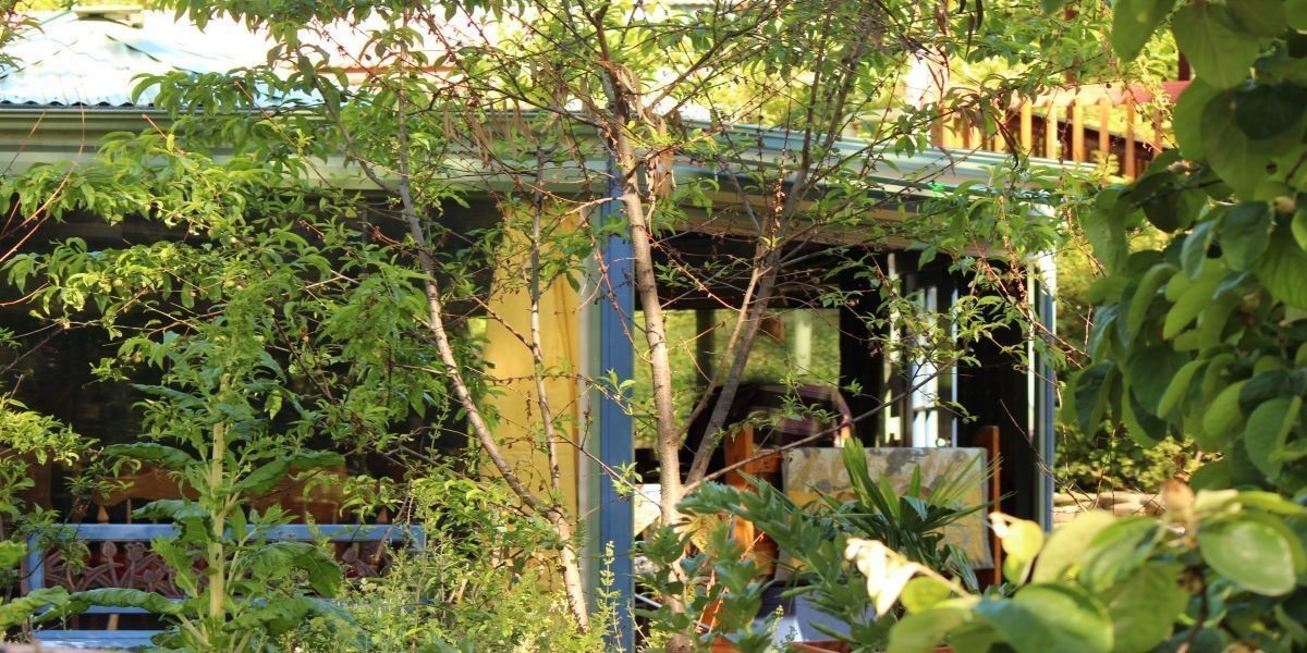 A gazebo fringed by lush, green trees.