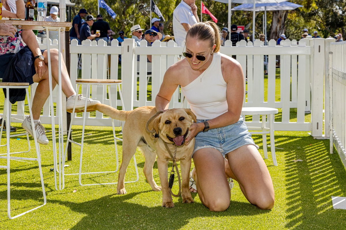 A smiling woman kneels and pats a happy dog on green lawn.