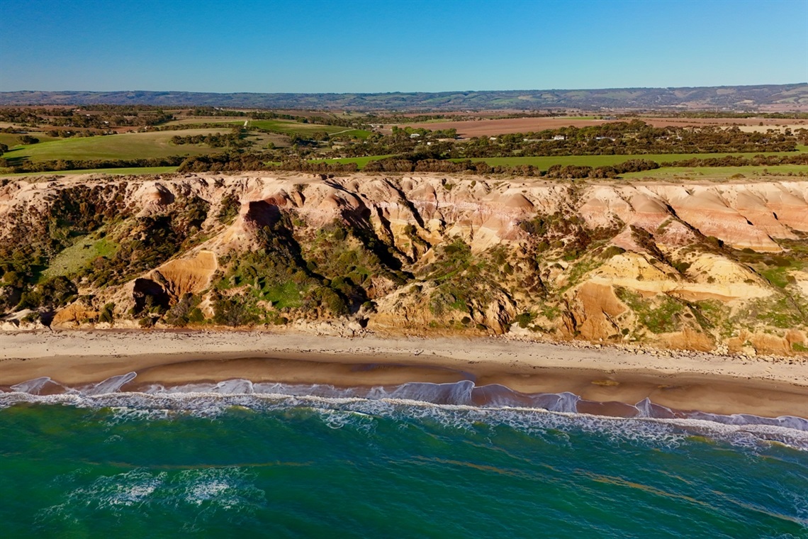 Blanche-Point-and-Maslin-Beach.jpg