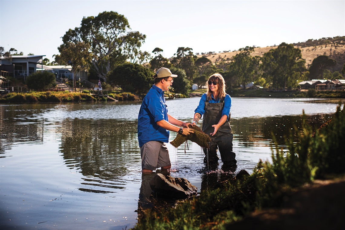 Community-mussels-in-to-improve-waterways-1.jpg