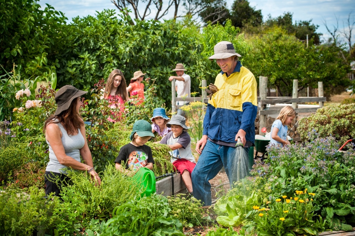 A seated woman in a wide-brim hat and man standing and watering plants are surrounded by lush plants and other community members, including children, in a green community garden.