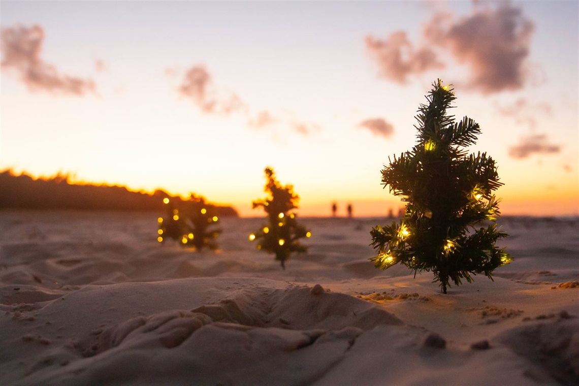 Christmas tree beach - pexels-karen-laårk-boshoff-9523768.jpg