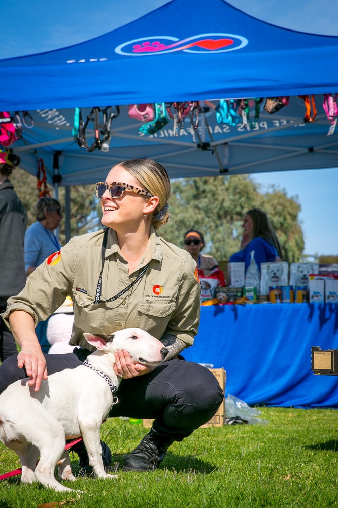 Community safety officer with a dog at a Safe Pets Safe Families event.jpg