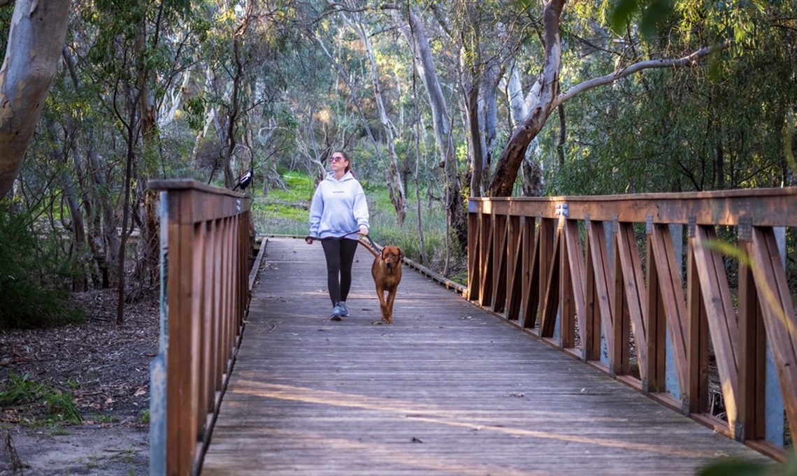 dog bridge woman 2.jpg