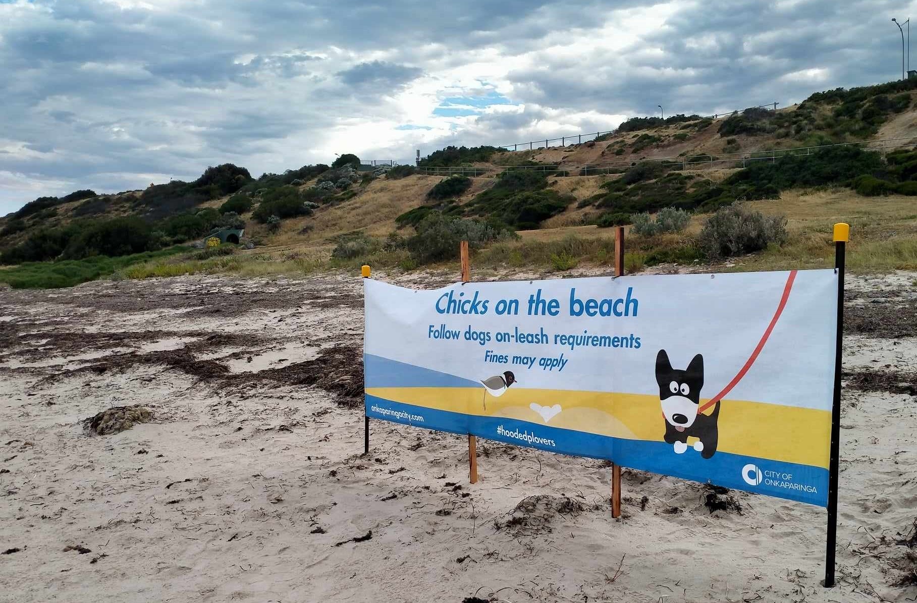 Hooded Plover - dog sign cropped 2.jpg
