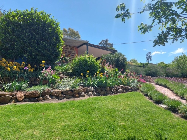 Rural garden 2024.jpg