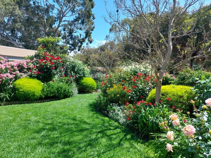 Urban garden 2024.jpg