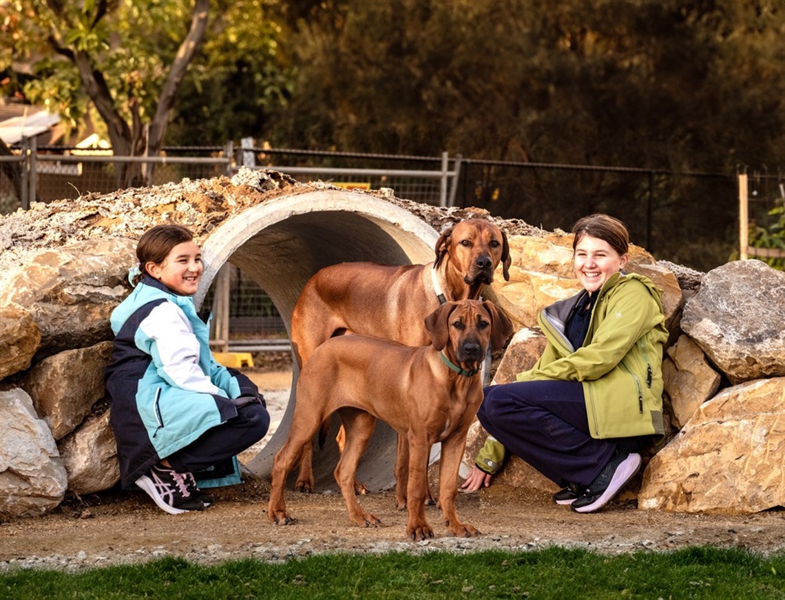 Woodcroft dog park 2024.jpg