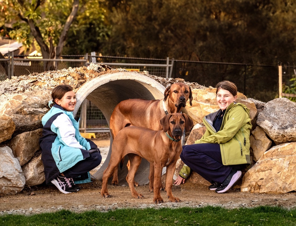 Woodcroft dog park 2024.jpg