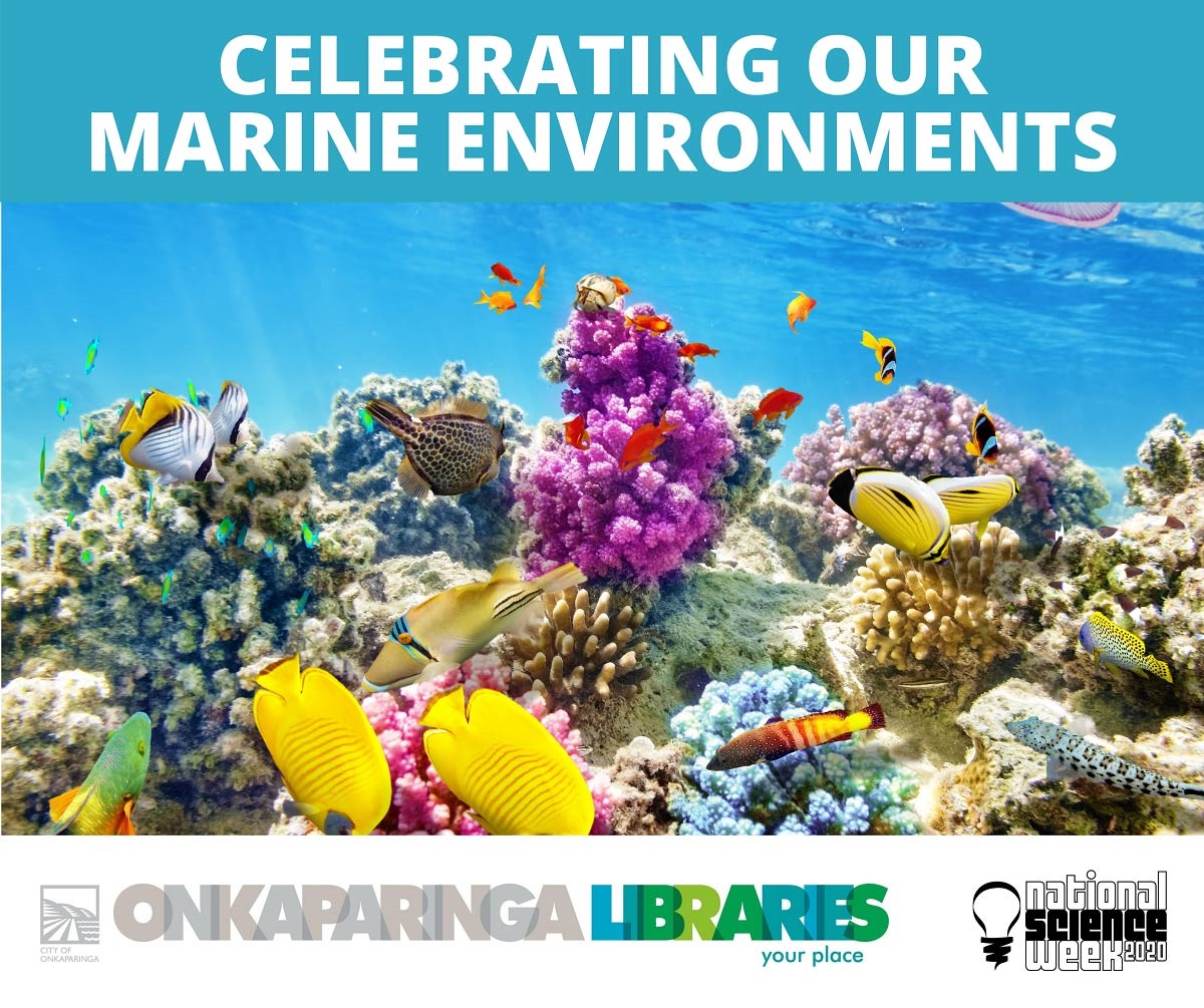 Celebrating our Marine Environments